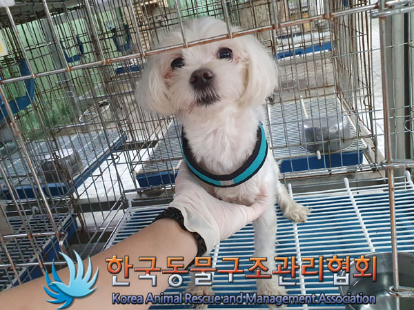 한국동물구조관리협회_411317202300197